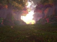 Ashenvale-i Naplemente